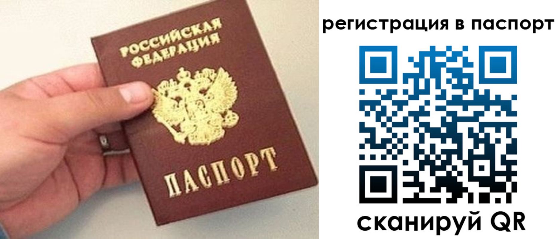 прописка законно в Будённовске